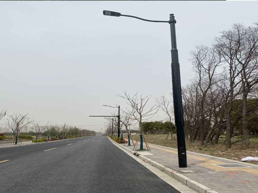 怒江傈僳族自治州上海综合杆 太阳能路灯工程